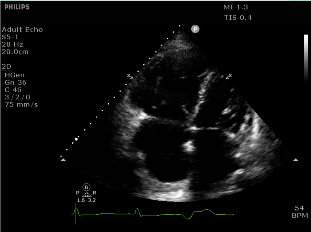 Clinical ultrasound assessment interface
